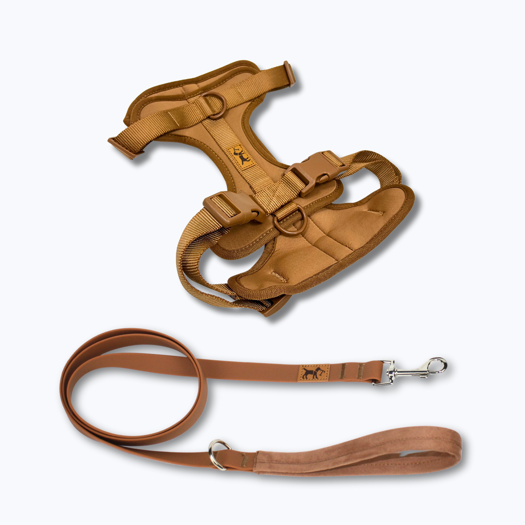 Kit de paseo marron