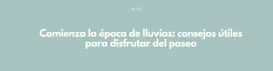 Comienza la época de lluvias: consejos útiles para disfrutar del paseo