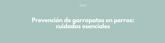 Prevención de garrapatas en perros: cuidados esenciales