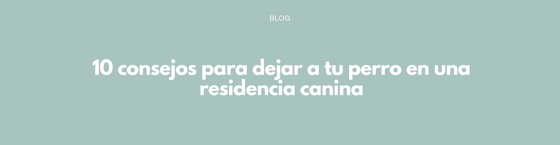 10 Consejos para dejar a tu perro en una residencia canina