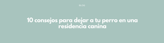 10 Consejos para dejar a tu perro en una residencia canina