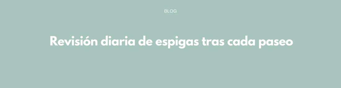 Revisión diaria de espigas tras cada paseo