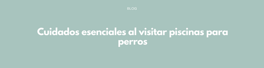 Cuidados esenciales al visitar piscinas para perros
