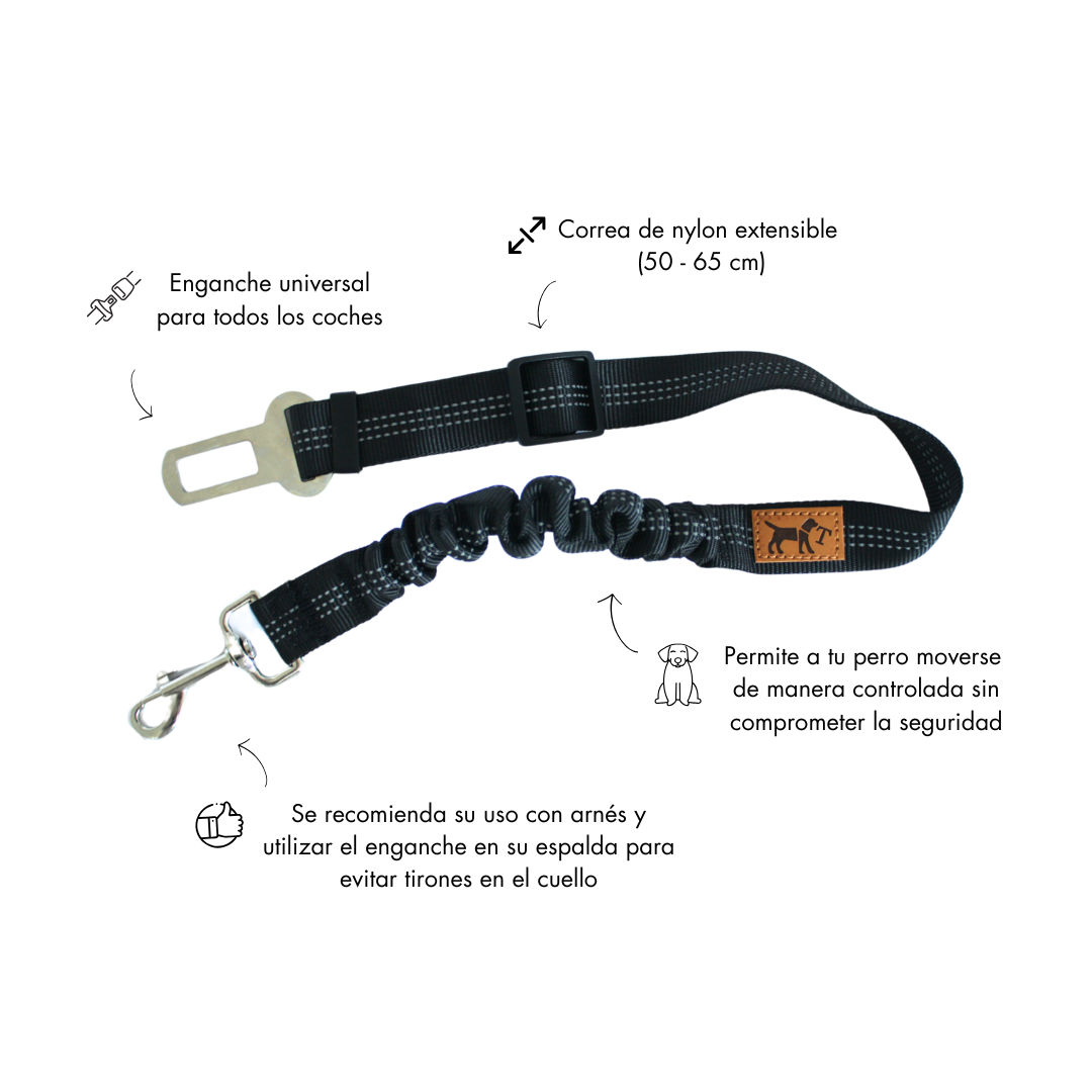 Cinturón de coche para perros
