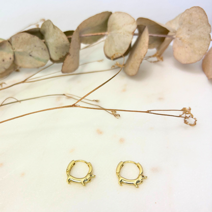Pendientes aro Teckel