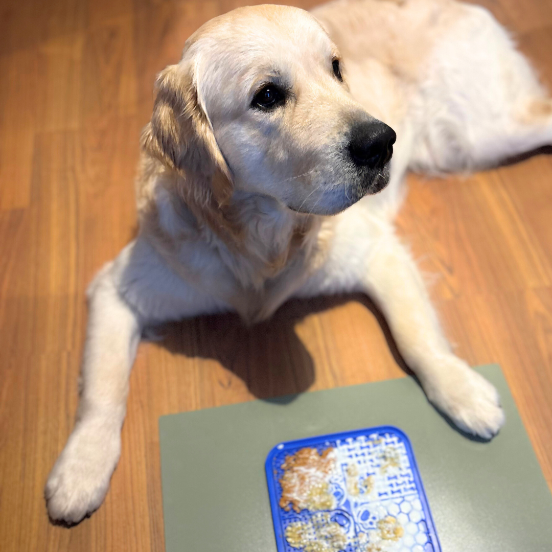 Licking Mat - Tapete para lamer