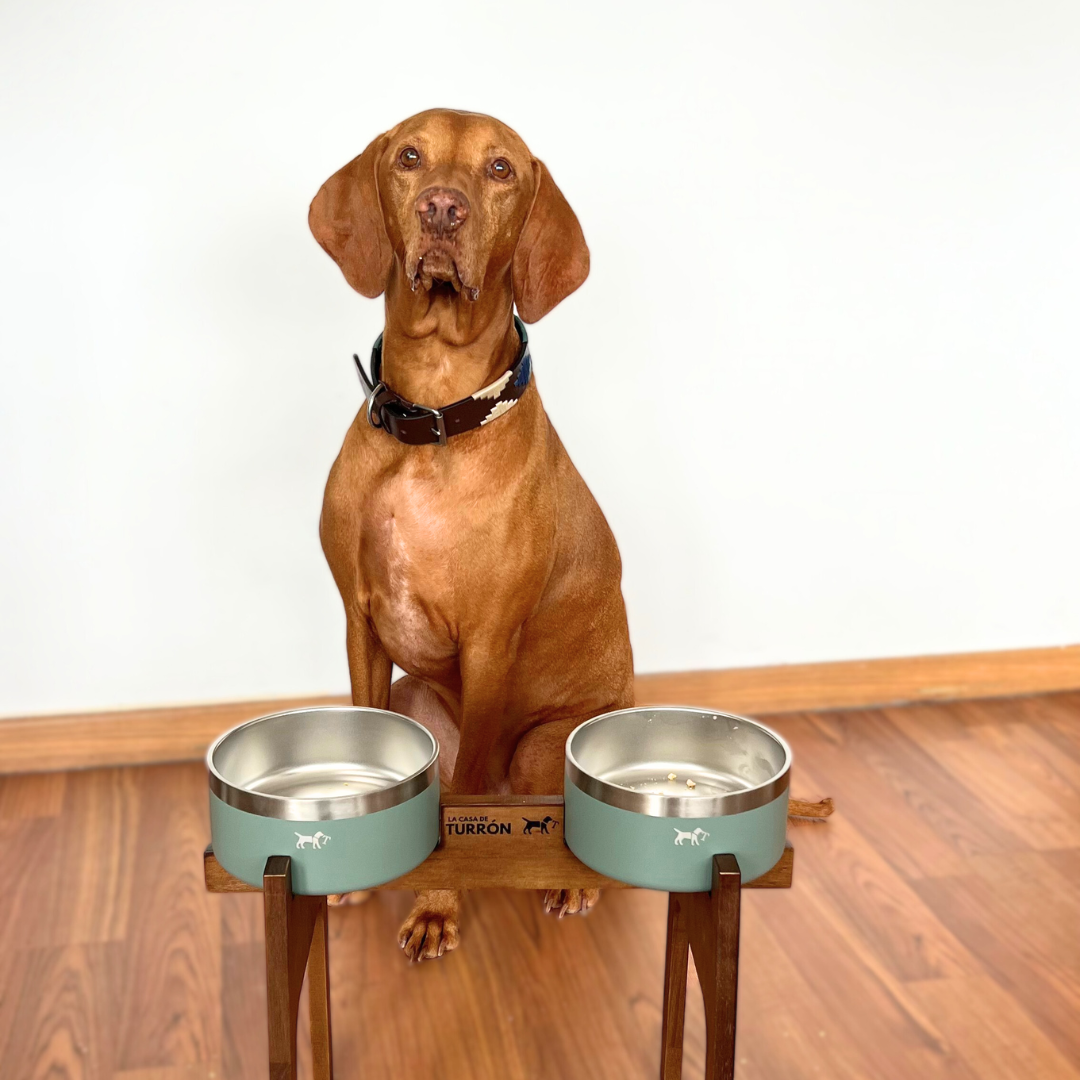 Comedero elevado doble Nordic