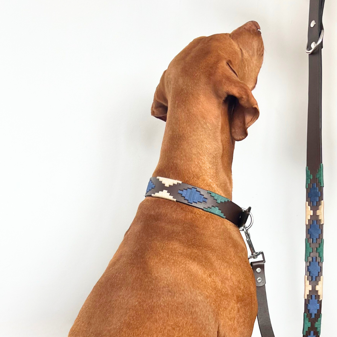 Kit de Paseo Iguazú