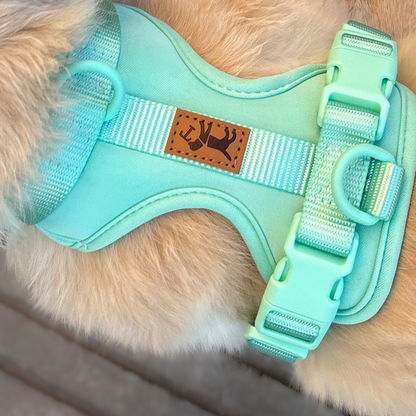 Arnés Adventure Mint