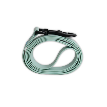 Correa AquaSoft
