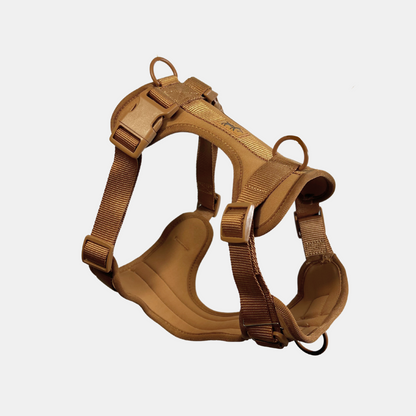 Arnés Adventure Desert