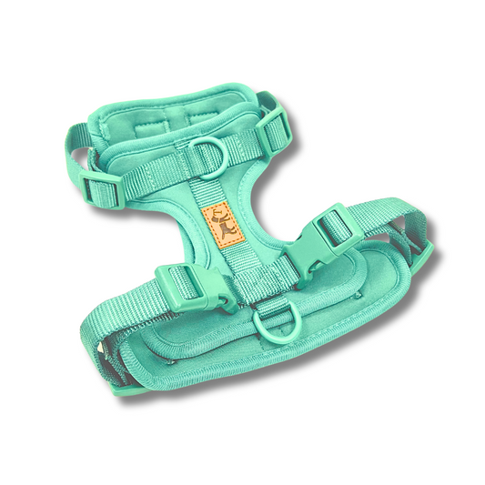 Arnés Adventure Mint