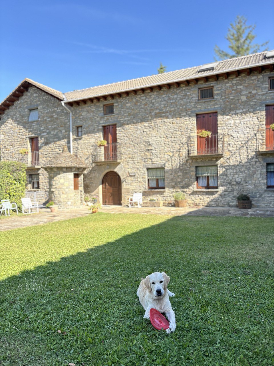 Frisbee para perros La Casa de Turron modelo