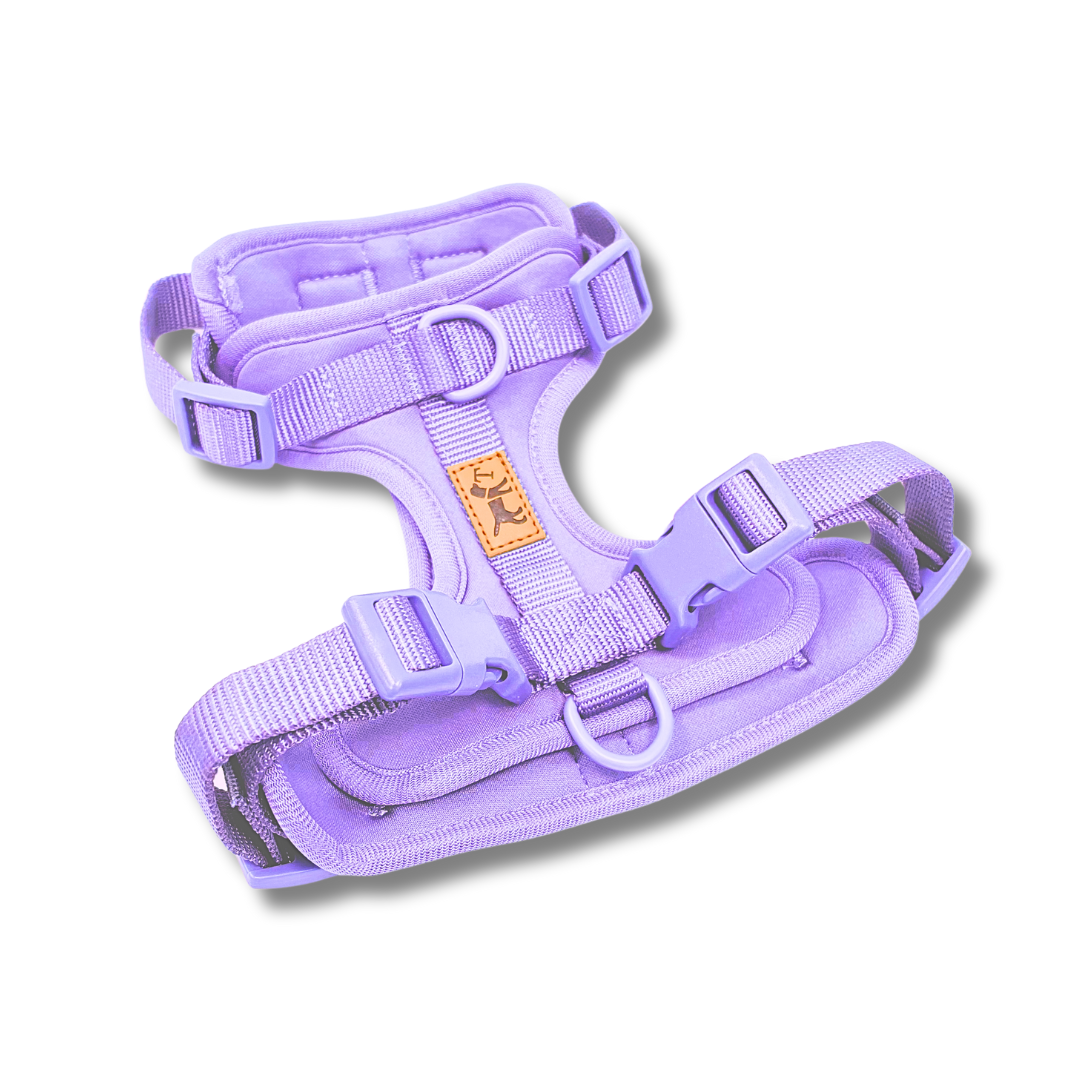 Arnés Adventure Lavender