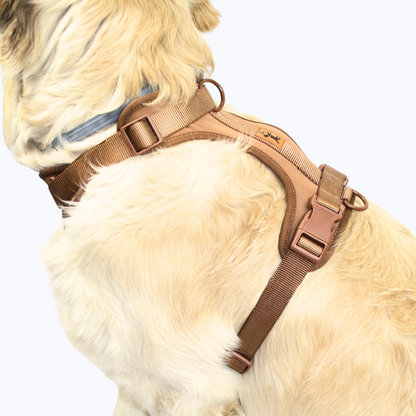 Arnés Adventure Desert