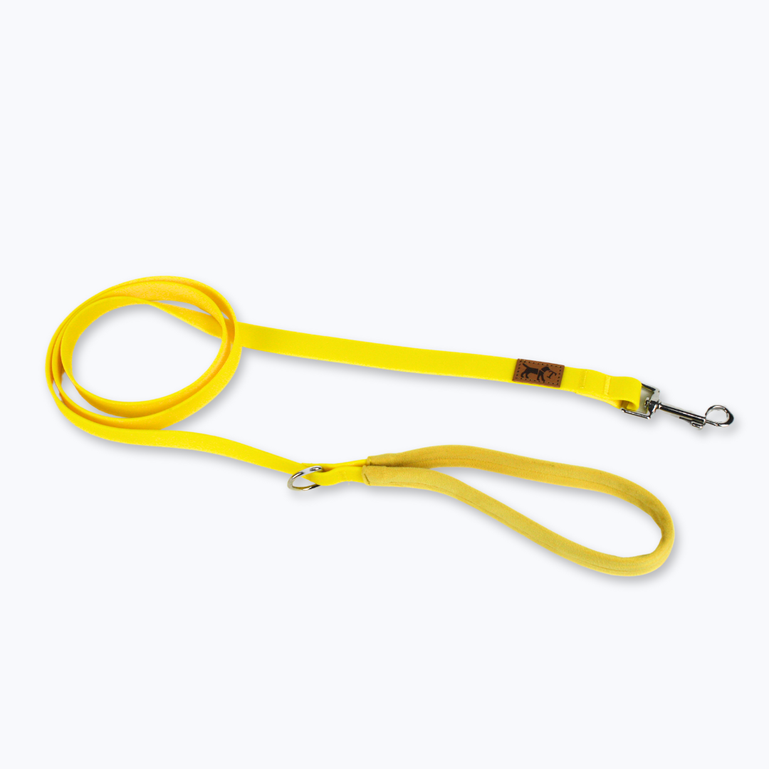 correa adventure amarilla