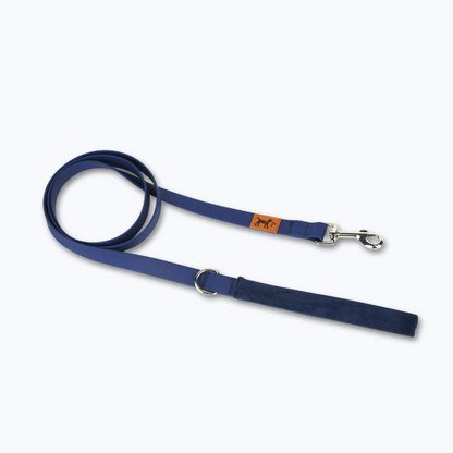 correa adventure azul