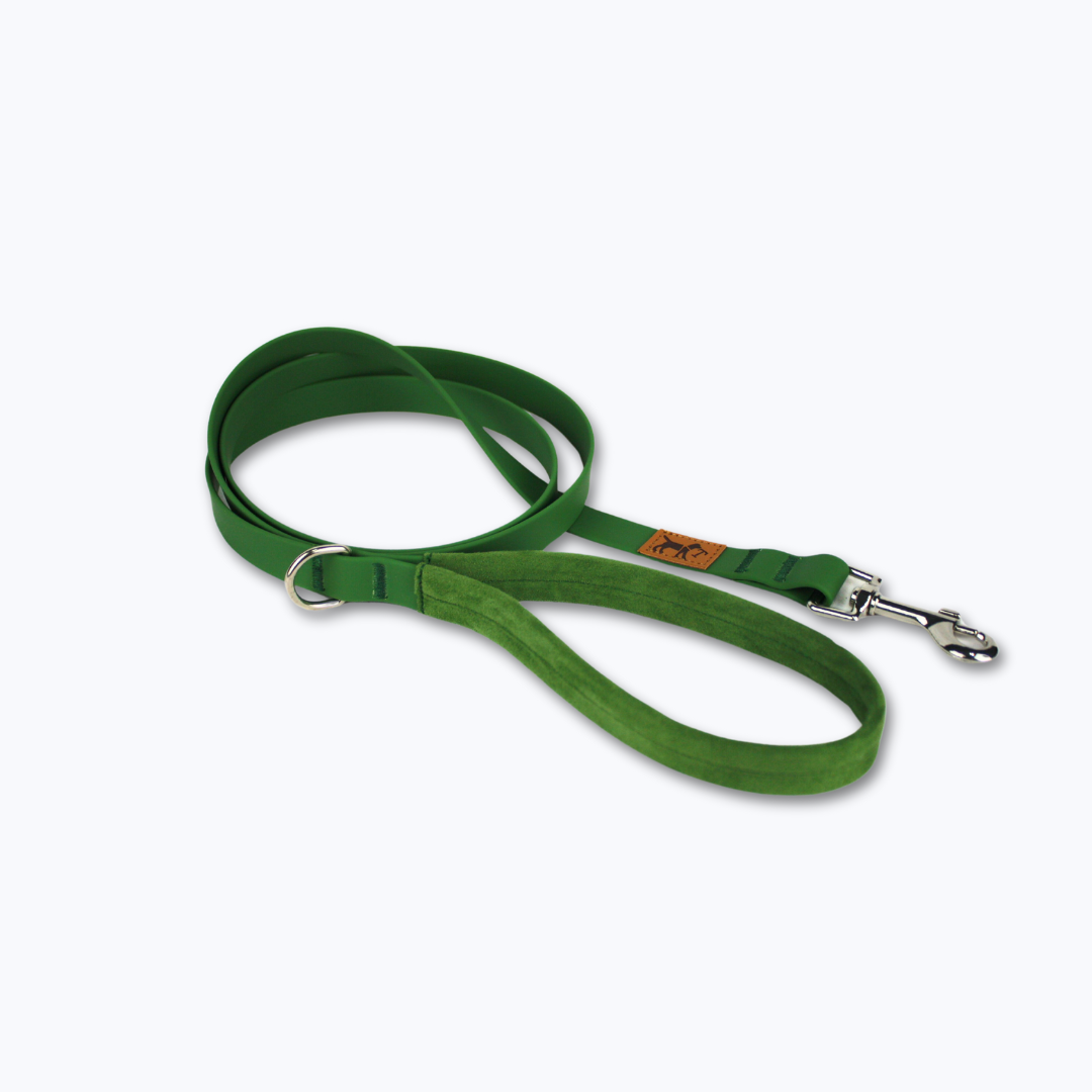 correa adventure verde