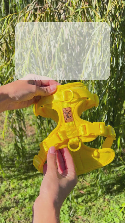 Arnés Adventure Beach